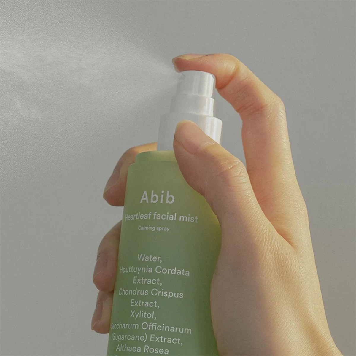 Mist Abib